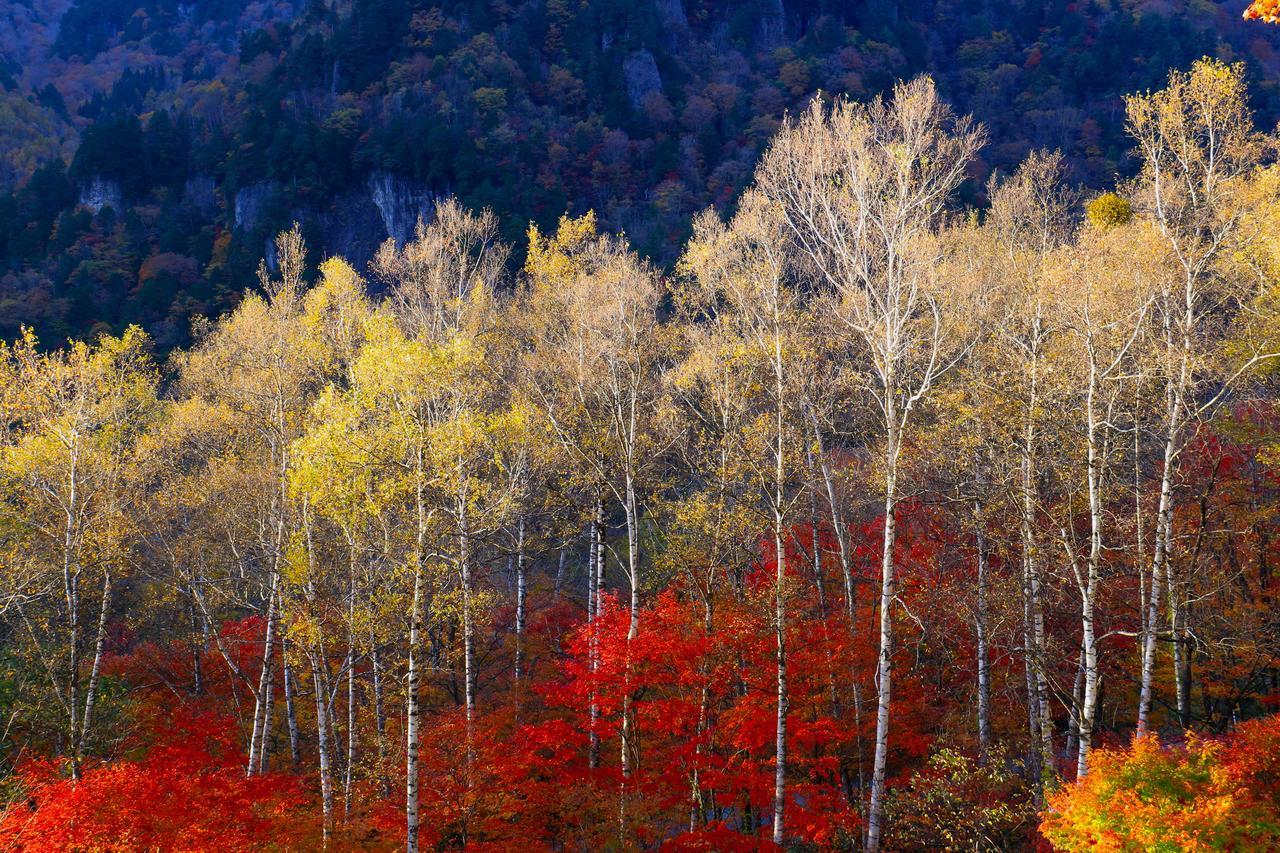 Nakao Kogen Hotel Kazaguruma Takayama  Zewnętrze zdjęcie